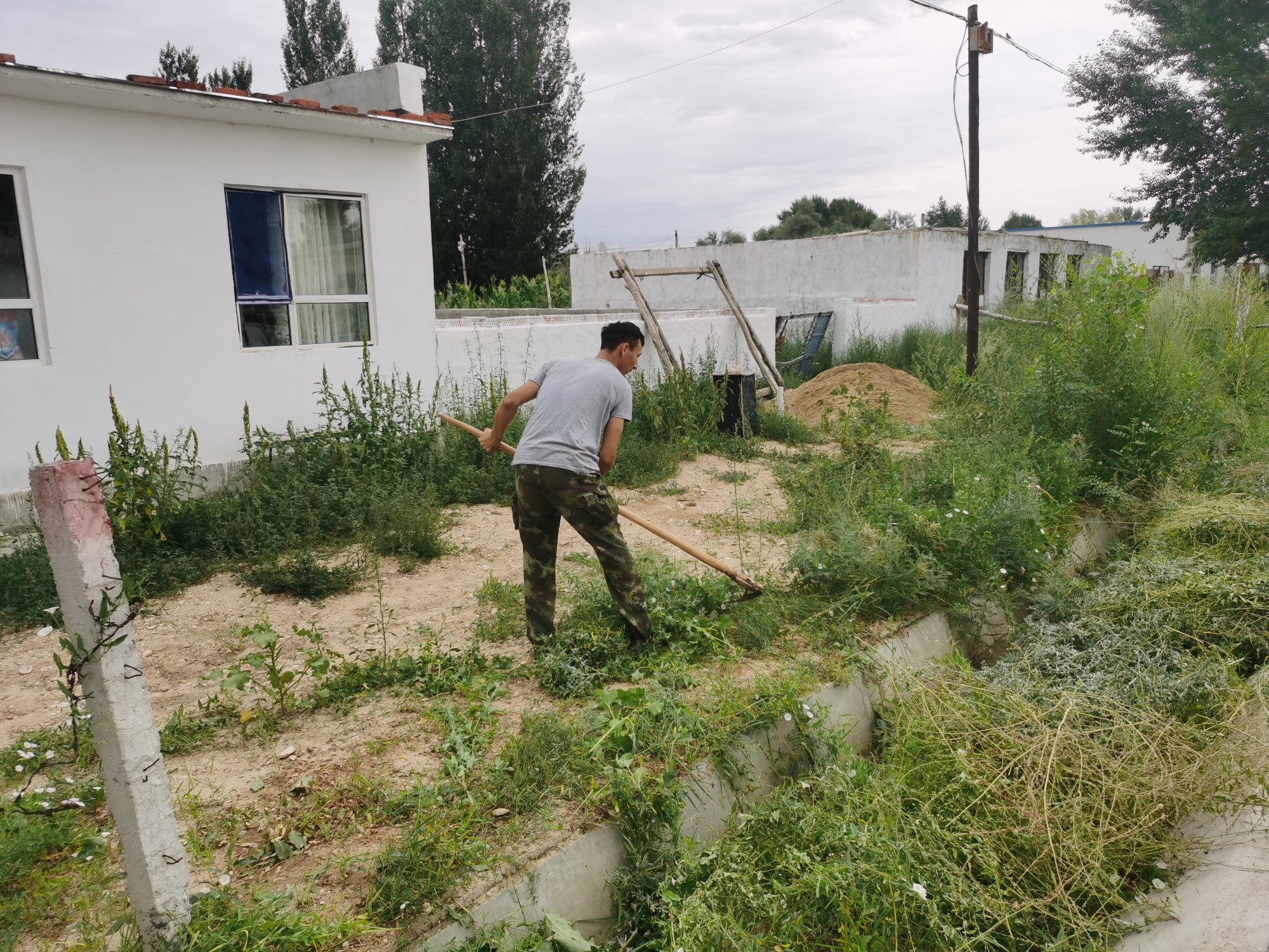 村民在用镰刀清理屋后高草.jpg