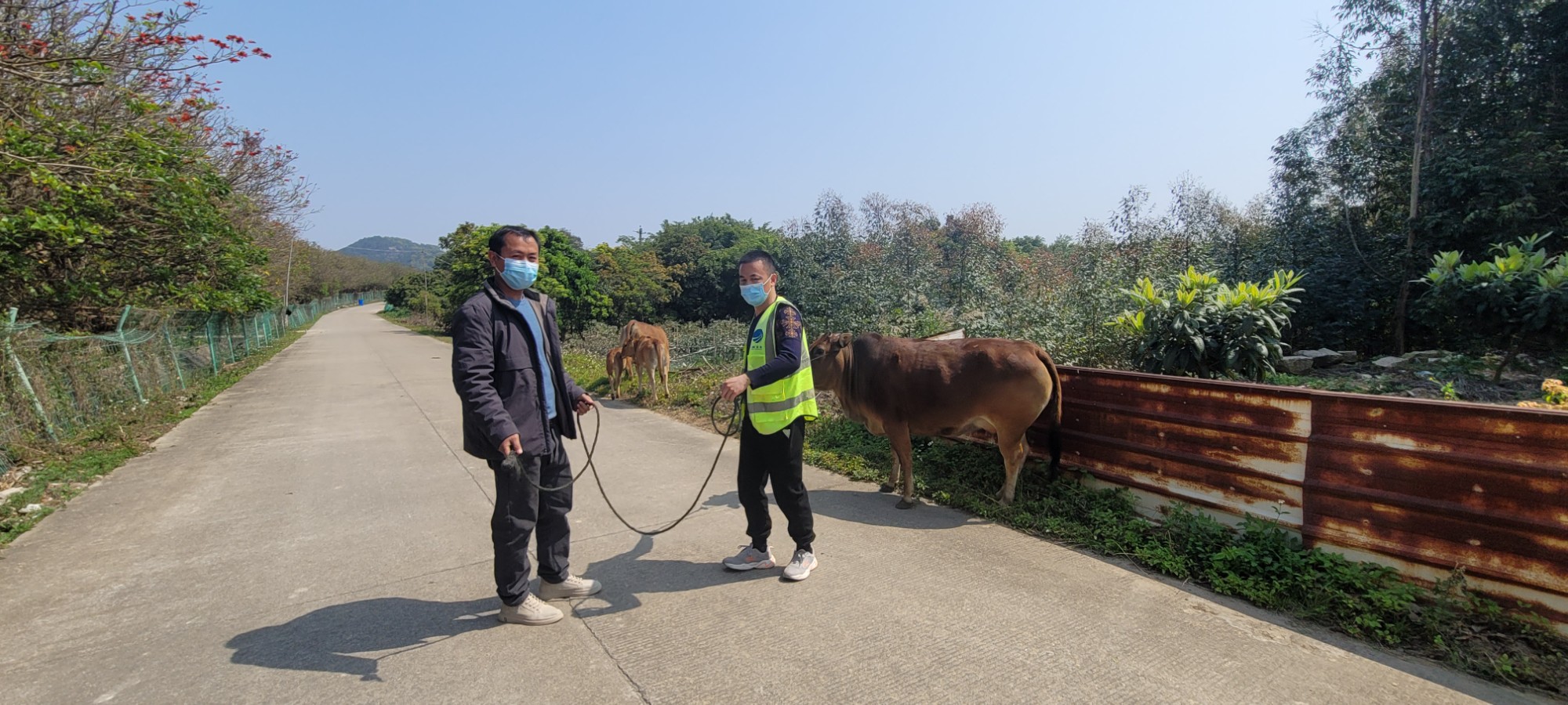 护牛暖人心2.jpg 护牛暖人心2.jpg