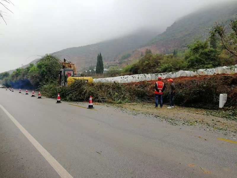 图为:清理影响行车三角梅.jpg 图为:清理影响行车三角梅.jpg