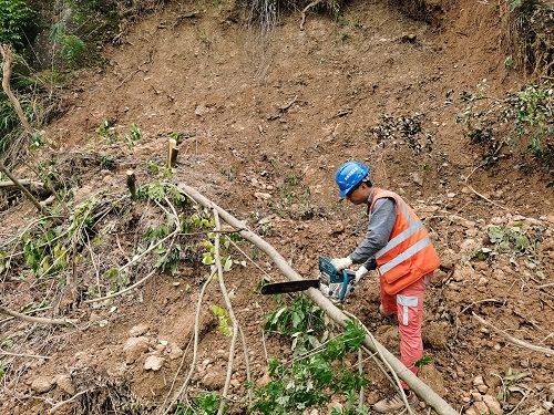 _508097c1d53e0fb42dc9afd7c2ca4dd4_-1948876618_IMG_20230901_110023.jpg _508097c1d53e0fb42dc9afd7c2ca4dd4_-1948876618_IMG_20230901_110023.jpg