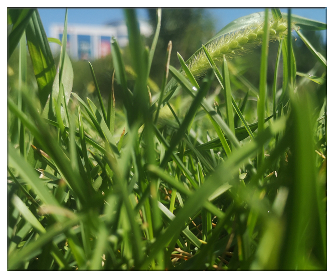 静静的长安之夜 (2).jpg