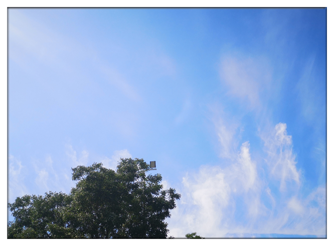 静静的长安之夜 (3).jpg