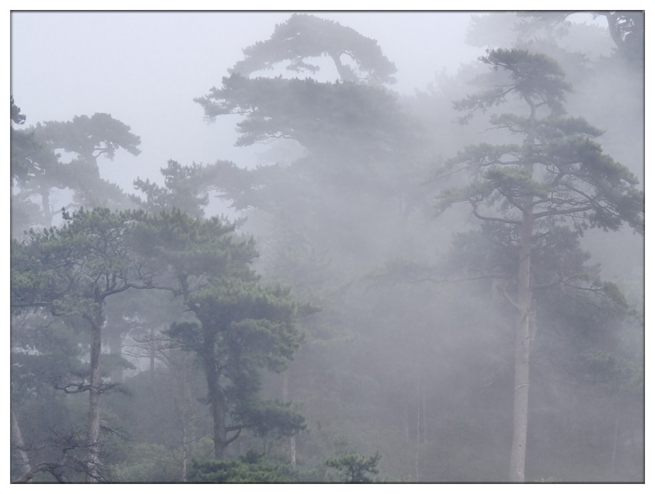 学会放下 (2).jpg