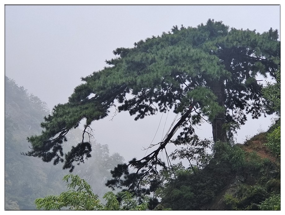 学会放下 (4).jpg