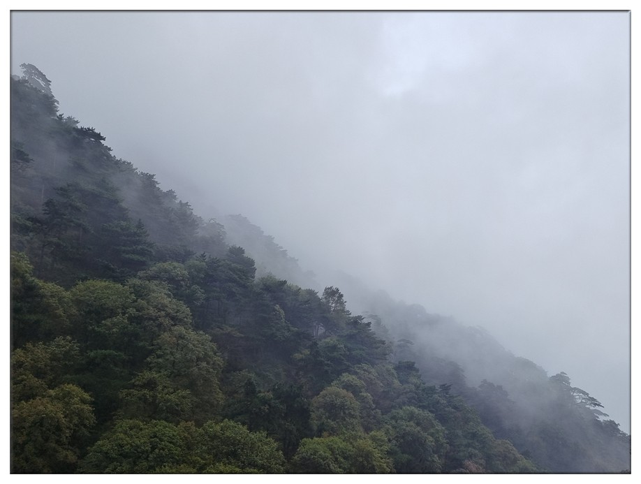 学会放下 (3).jpg