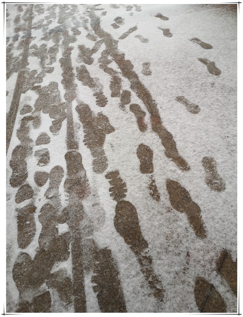 雨雪中的风景线 (2).jpg 雨雪中的风景线 (2).jpg