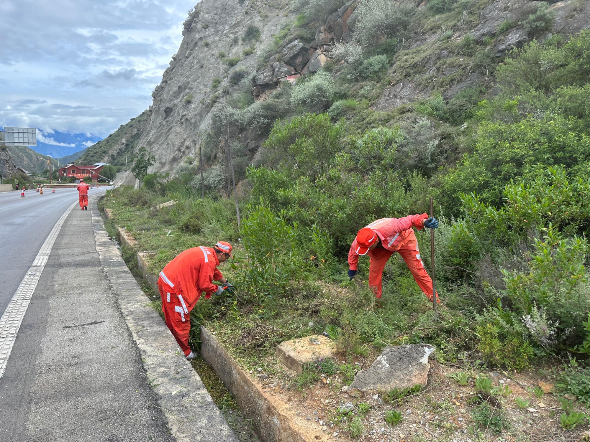 清理路肩杂草.jpg