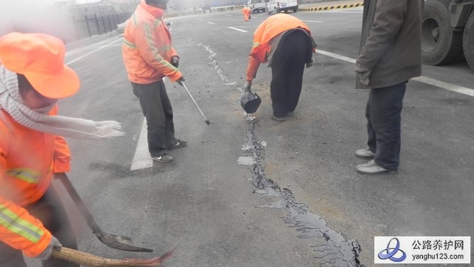 路面裂缝.jpg