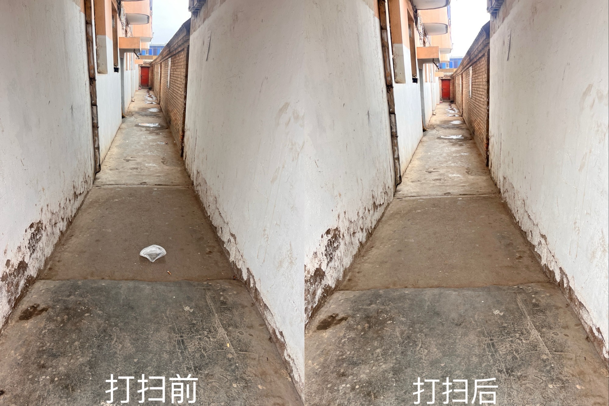 开展“青年志愿，净城靓城 (2).jpg