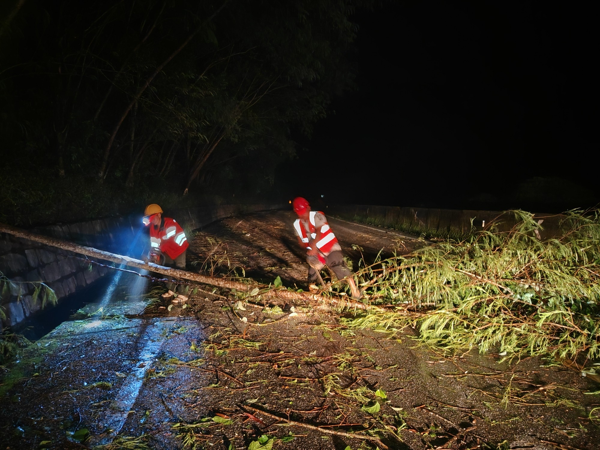 2025年7月31日，S213平金线K01+100—K30+000夜间抢险，清理倒树（2）.jpg