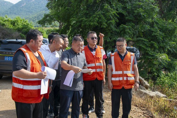 DSC_0207 (复制).jpg