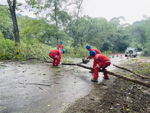 I:\美图批处理照片\三聚焦101.jpg I:\美图批处理照片\三聚焦101.jpg