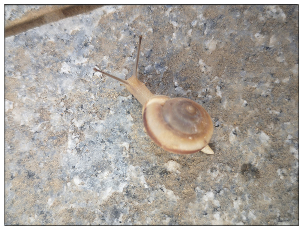 万家灯火 (1).jpg 万家灯火 (1).jpg