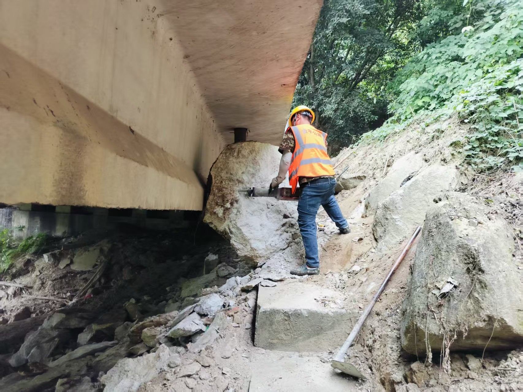 mmexport1767855690267.jpg mmexport1767855690267.jpg