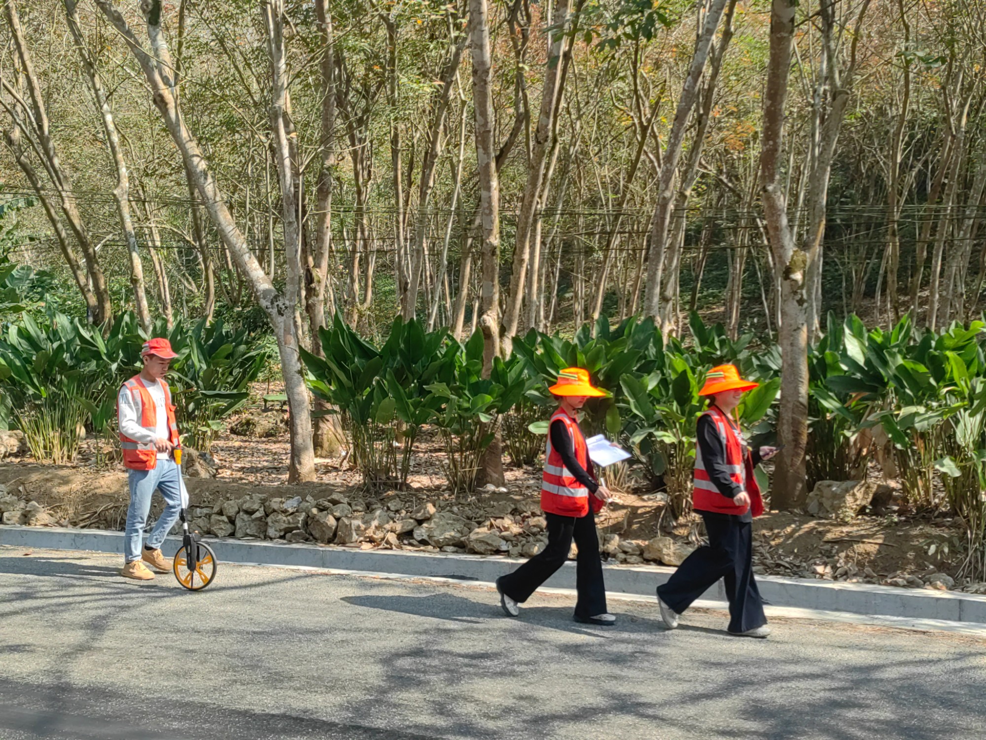 2026年1月30日,金平公路分局在S212阳金线开展路面病害调查.jpg 2026年1月30日,金平公路分局在S212阳金线开展路面病害调查.jpg