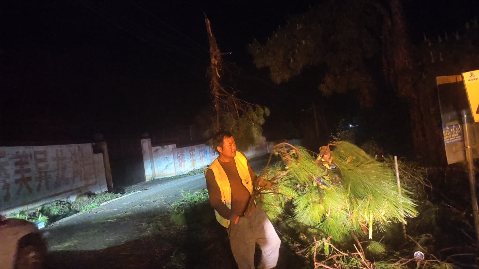 图为：对倒伏、折断的行道树进行分段切割、快速清运 (4).JPG