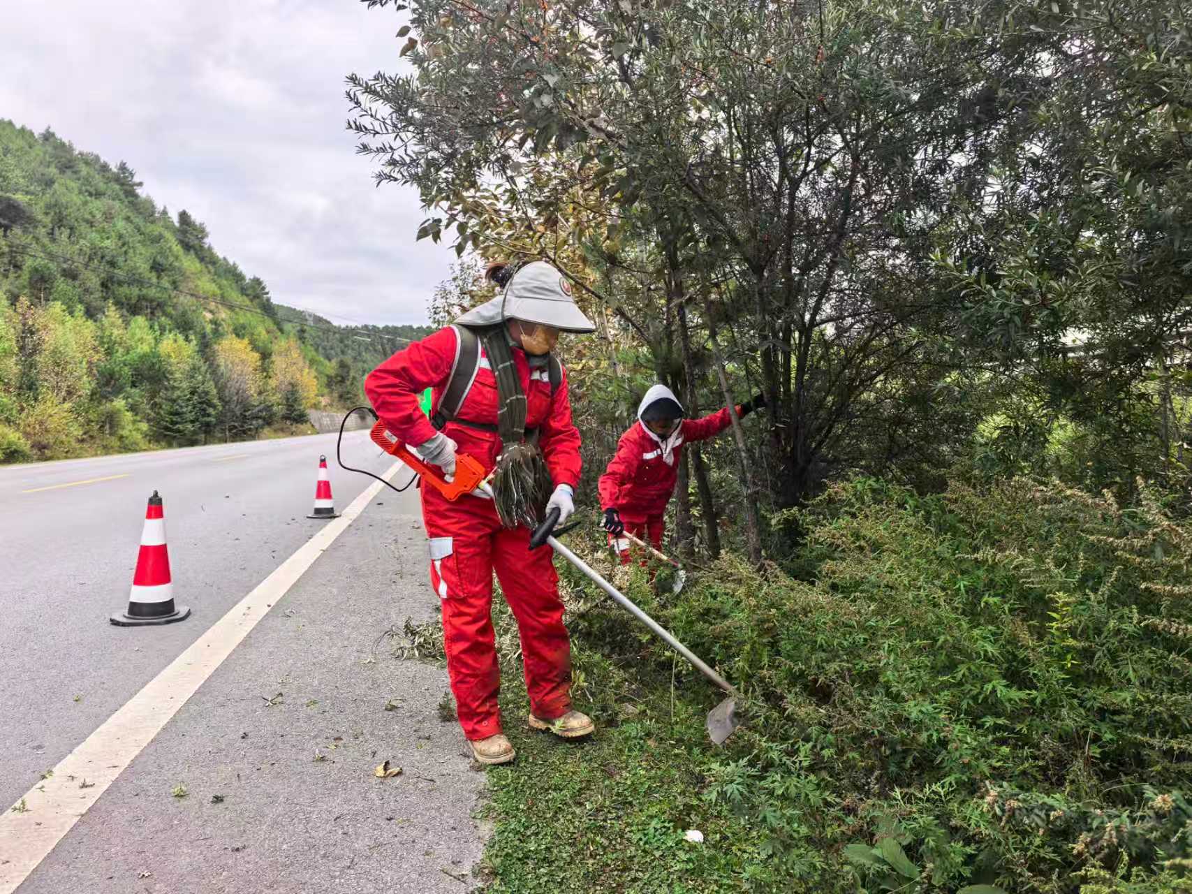 清理路肩杂草.jpg
